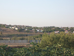Colonie face � Qalqilia, terrain maintenant en Isra�l