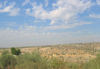 Paysage, Bilin, Palestine
