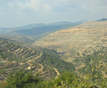 Paysage, r�gion de Bethlehem, Palestine