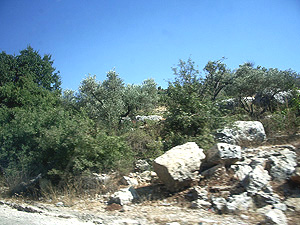 Sur la route entre Ramalah et Qalqilia, Palestine