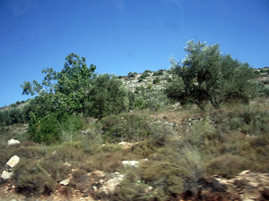 Sur la route entre Ramalah et Qalqilia, Palestine