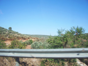 Sur la route entre Ramalah et Qalqilia, Palestine
