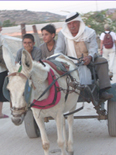 Qalqilia, Palestine