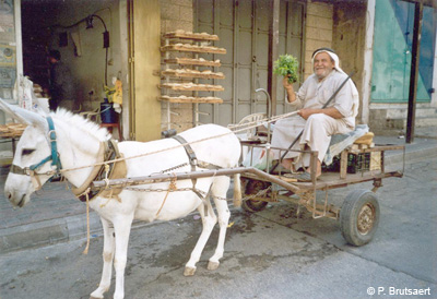 Qalqilia